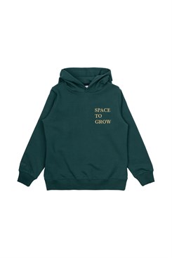 The New Malik Hoodie LS sweatshirt - June Bug